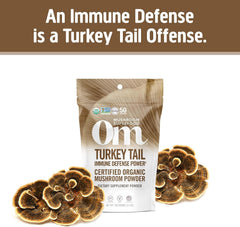 Close-up of Turkey Tail mushroom powder ingredients