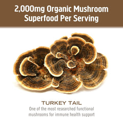Nutrition facts label for Om Mushroom Turkey Tail Powder