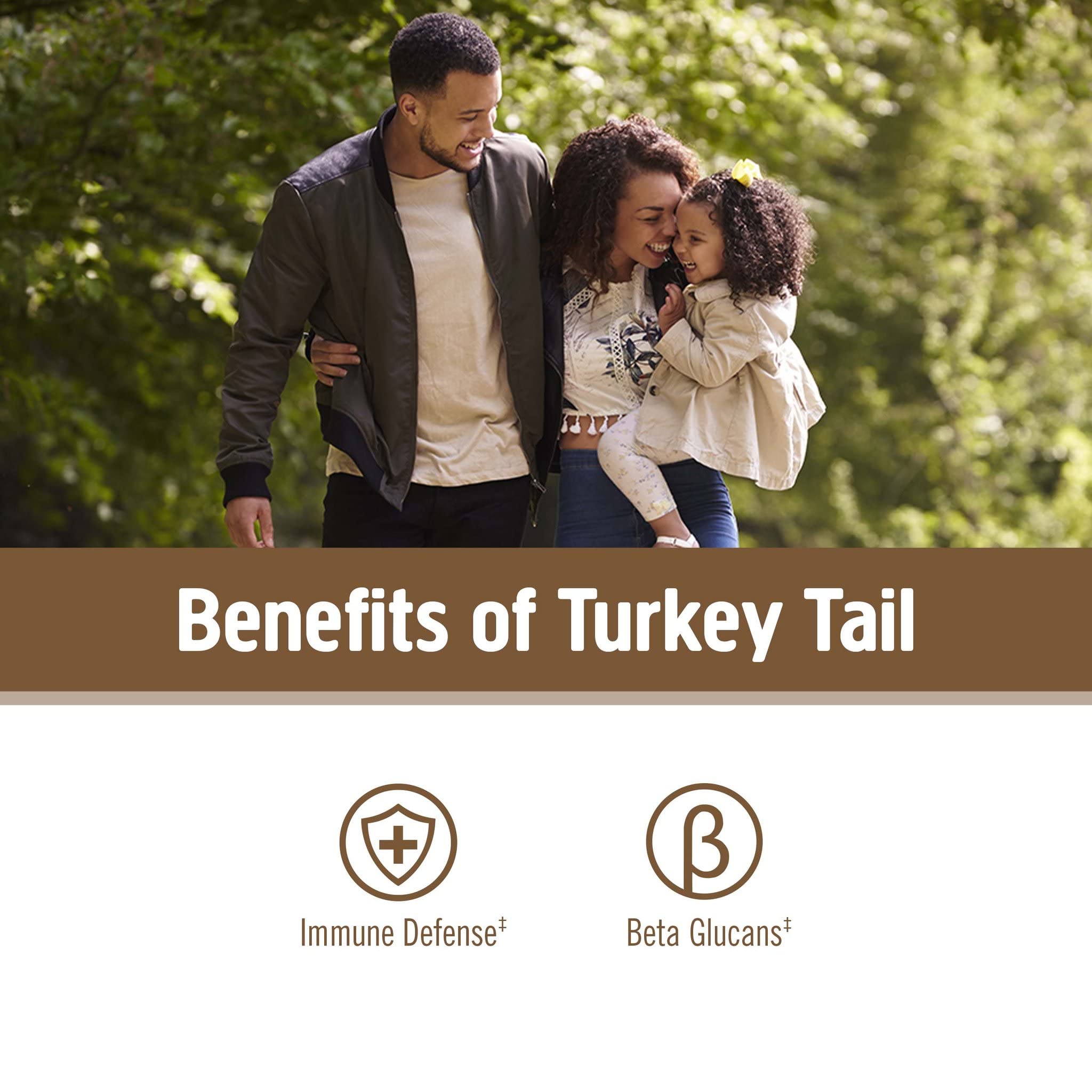 Label close-up of Om Mushroom Superfood Turkey Tail Powder ingredients