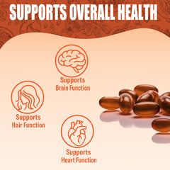 Omega 3-6-9, zinc, and antioxidants illustration
