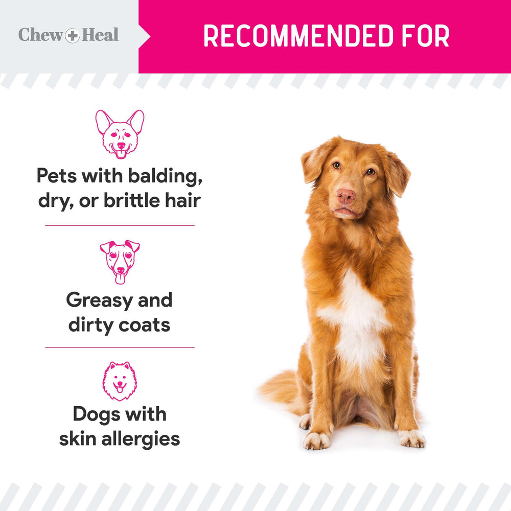 Serving suggestion: powder sprinkled on dog meal