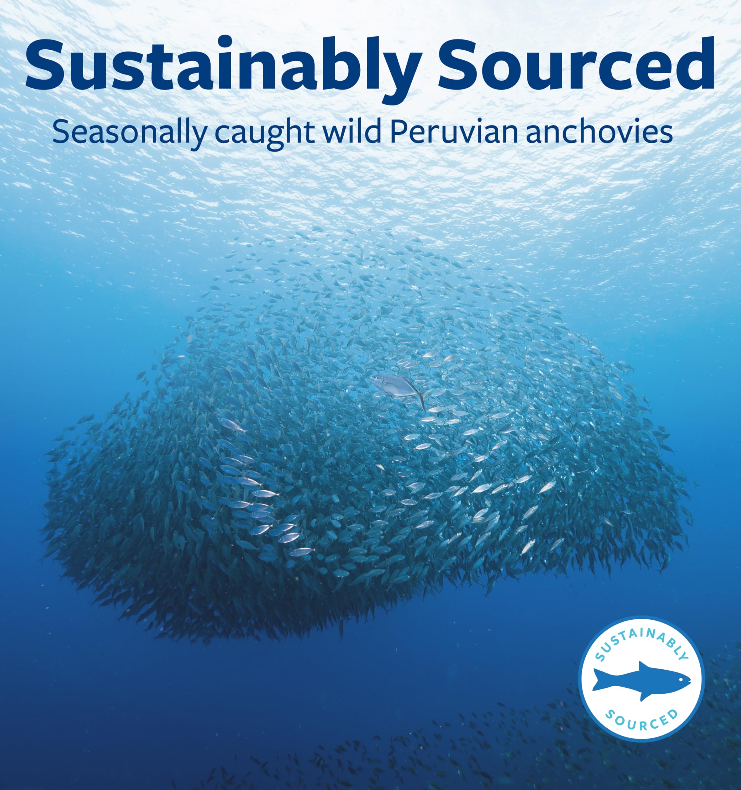 Peruvian anchovy sustainability recognition related to WWF