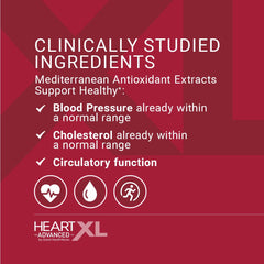 Mediteanox olive fruit extract, Pomanox pomegranate extract, Enovita grape seed extract icons
