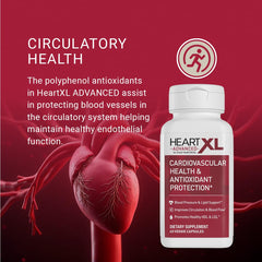 Illustration of healthy blood pressure support