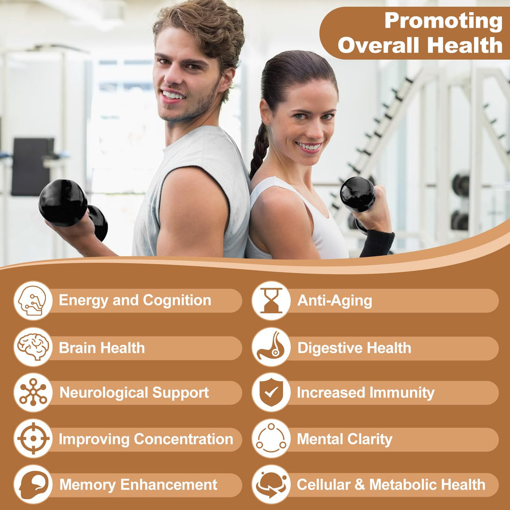 Lion's Mane, Cordyceps and Reishi mushroom blend for brain health