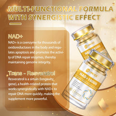 DNA repair and cellular energy with OMOGS NAD+