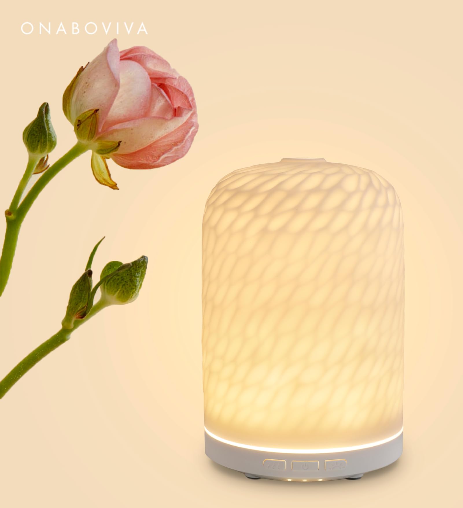 Diffuser displaying two mist modes and adjustable lights
