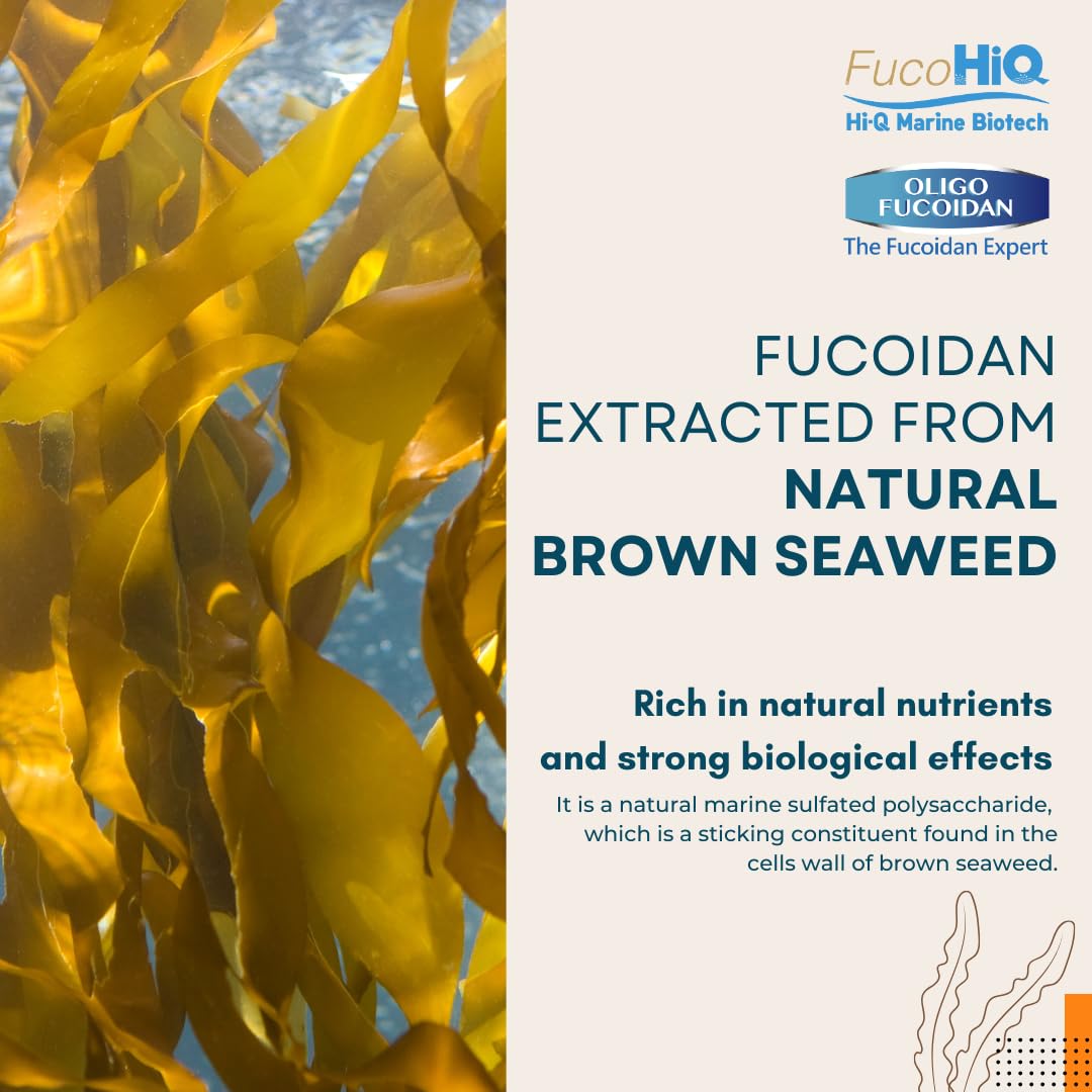 Halal certification badge for ONCOFUCO