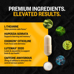 ONNIT Alpha Brain Black Label non-GMO seal signaling product integrity.