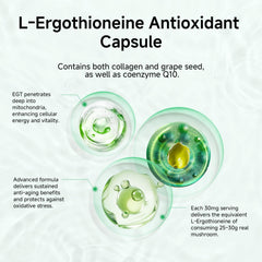 90-day value banner for ONOTIC Ergothioneine supplement