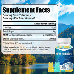 Blueberry pineapple MSM vegan gummies