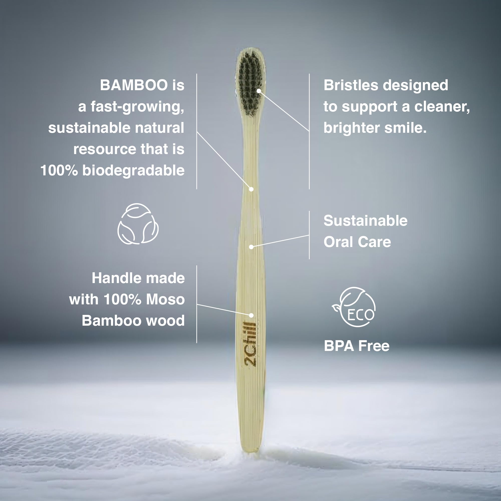Opalescence Go kit including mint trays and bamboo toothbrush