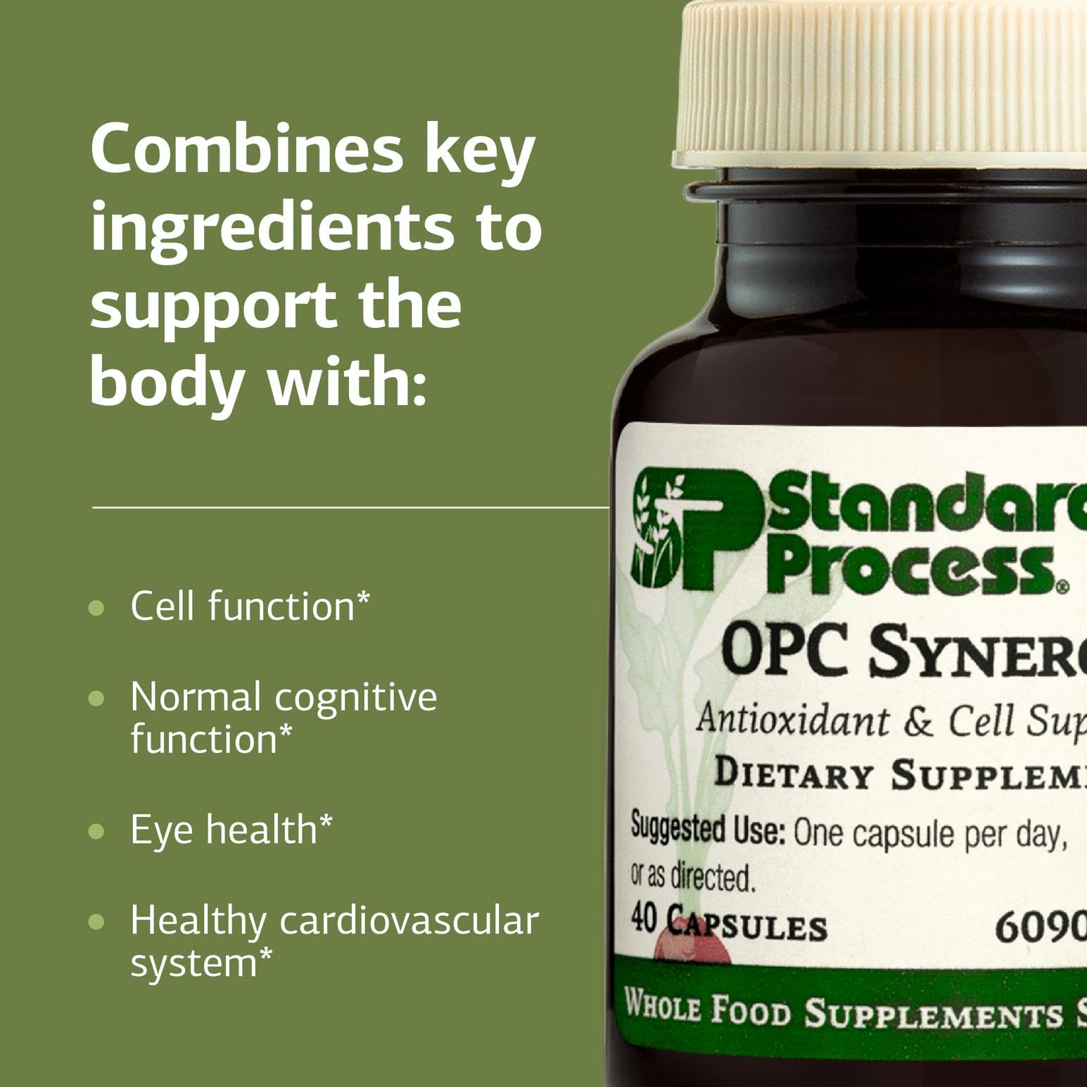 Graphic representing brain health support