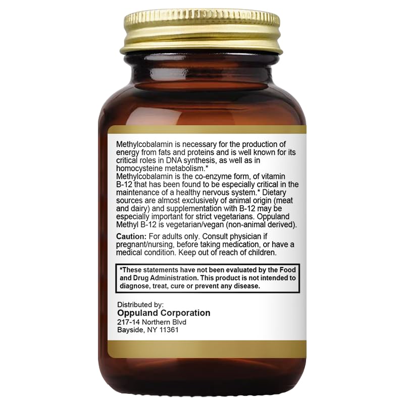 Nutrition details highlighting energy support from B12 and folate