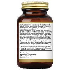 Nutrition details highlighting energy support from B12 and folate