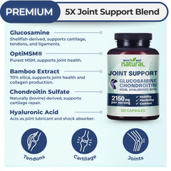 OptiMSM patented MSM component graphic
