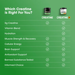 Supplement facts panel details for Creatine Monohydrate