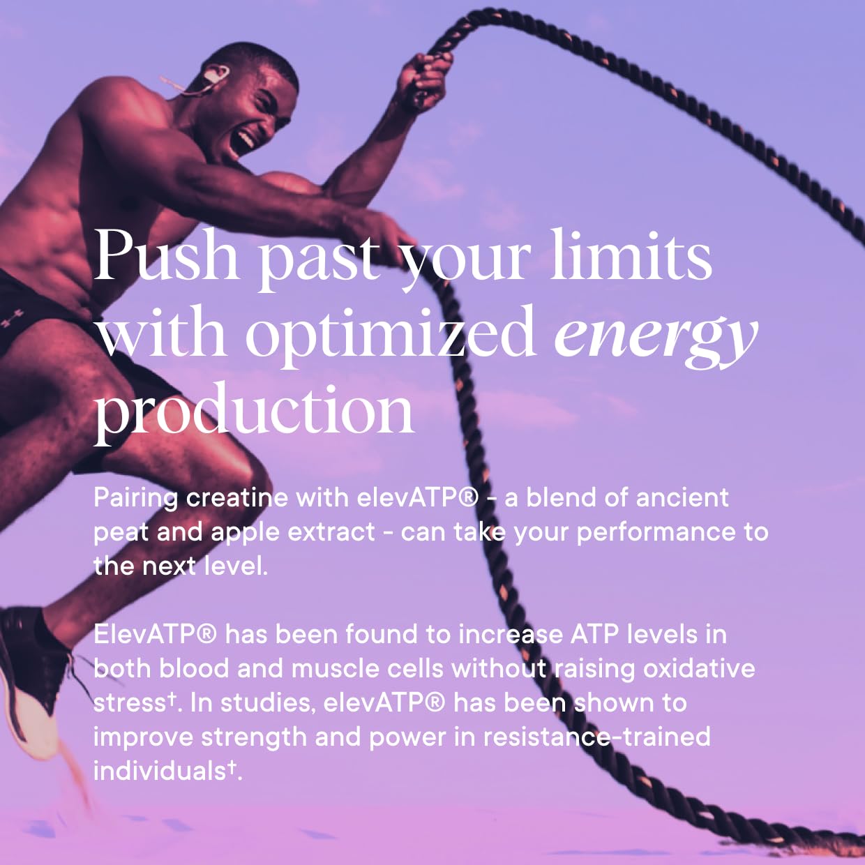 Ora Organic Creatine Monohydrate is third-party tested in a California facility.