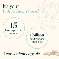 Graphic of probiotics and digestive enzymes