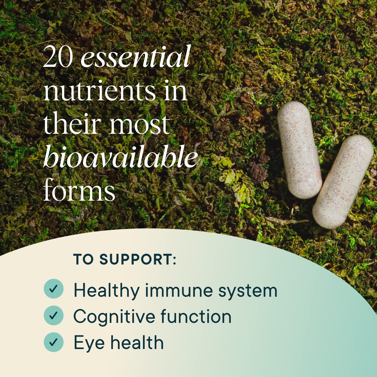 Methylated B vitamins, D3 from lichen, and minerals in Ora Organic multivitamin