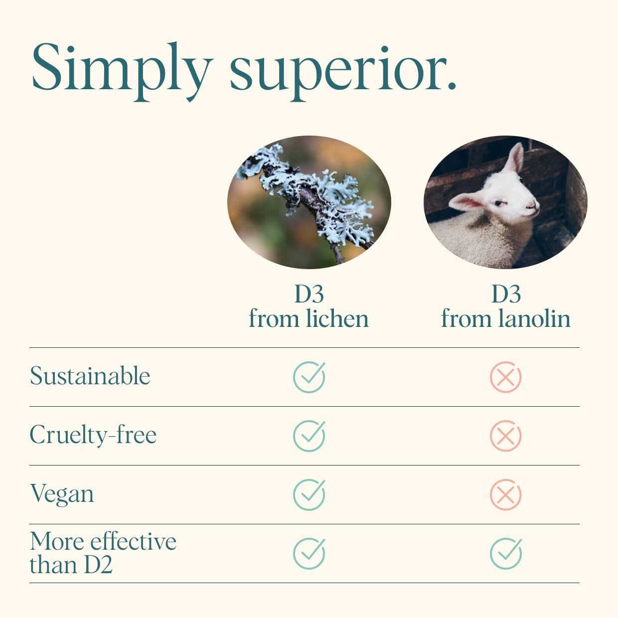 Illustration of immune support concept with vitamin D imagery