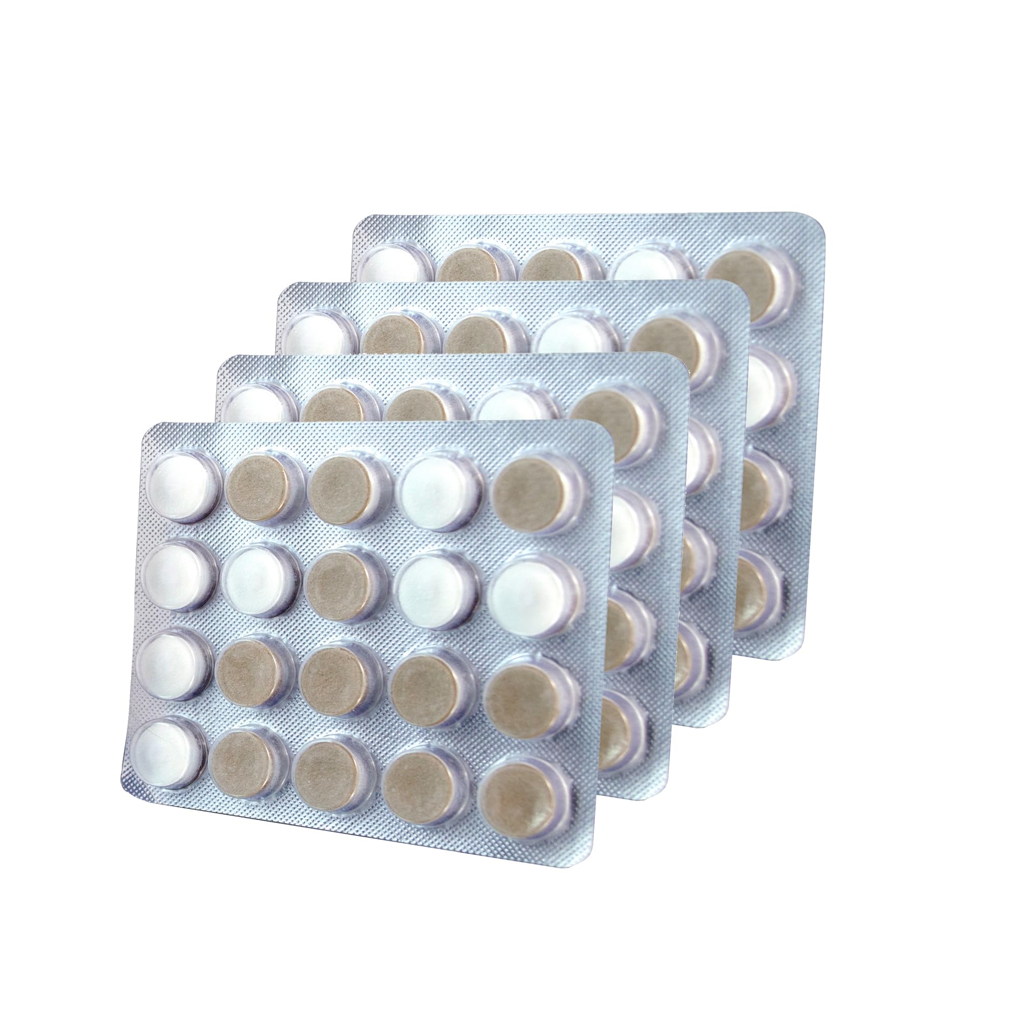 XyliMelts disc containing Xylitol awaiting use