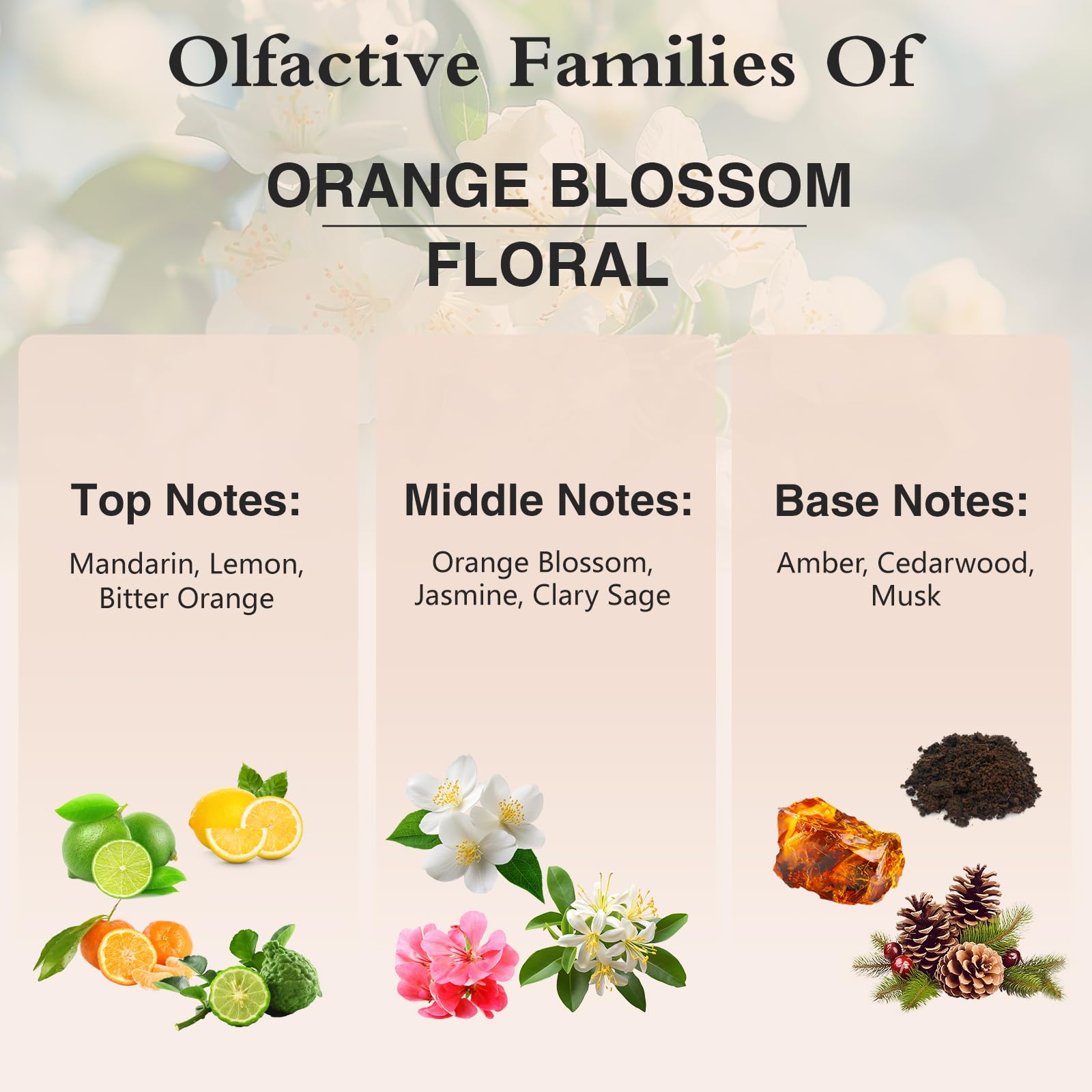 PHATOIL packaging box for Orange Blossom Fragrance Oil