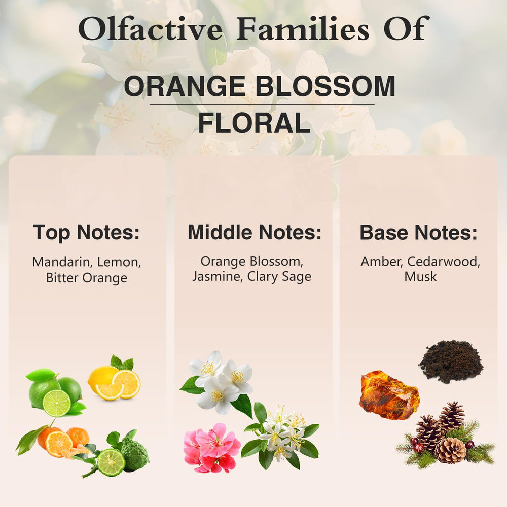 PHATOIL packaging box for Orange Blossom Fragrance Oil
