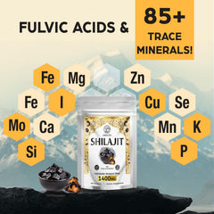 Ashwagandha and Chaga components illustration