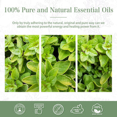 Aromatherapy oregano oil for diffuser and humidifier