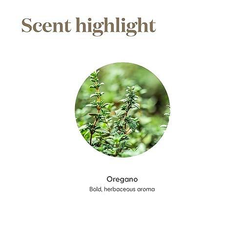 Oregano essential oil suitable for topical and aromatic use