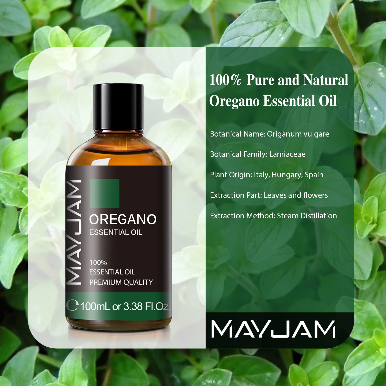MAYJAM oregano essential oil packaging in amber bottle