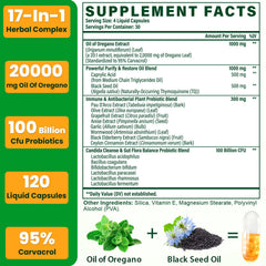 Oregano oil extract 20 to 1 concentration with carvacrol highlight