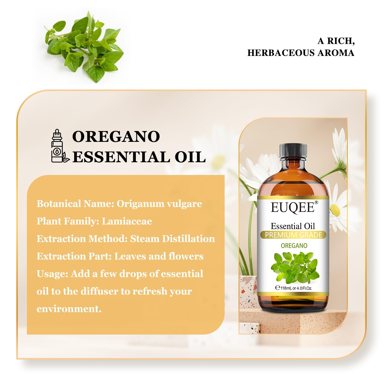 Glass dropper bottle of oregano essential oil