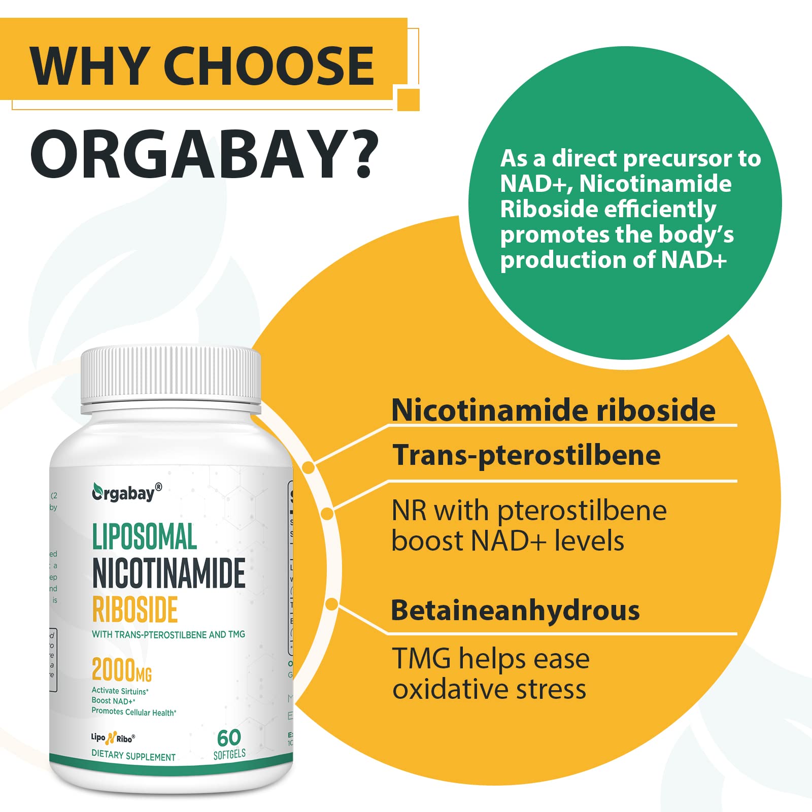 Orgabay ingredient highlight near bottle focusing on TMG and betaine.