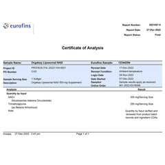 Liposomal NAD+ delivery system illustration