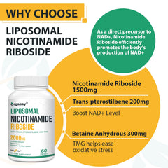 Sunflower phosphatidylcholine illustration for liposomal delivery