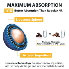 Orgabay packaging box for Liposomal Nicotinamide Riboside