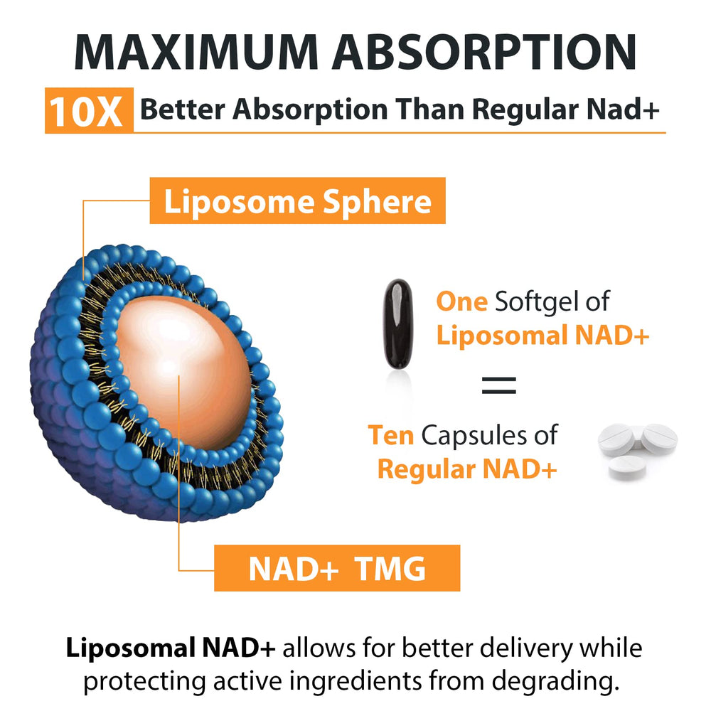 Mitochondrial energy support concept with Orgabay NAD+