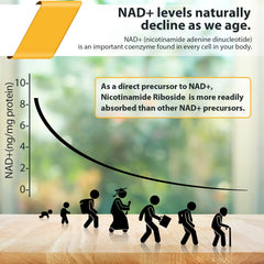 Orgabay liposomal NR closeup highlights high potency and delivery into cells.