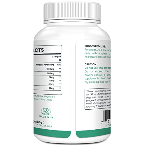 Illustration showing 20x faster absorption of liposomal quercetin phytosome
