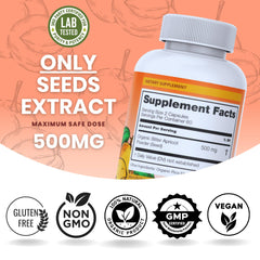 Illustration showing digestive health benefits of the powder