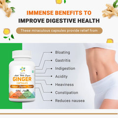 Graphic highlighting digestion and immune support benefits of ginger