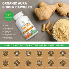 Close-up of organic ginger root powder used in Organic Aura capsules
