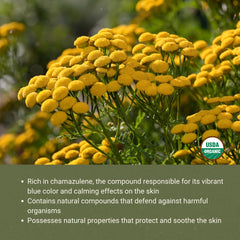 Blue Tansy essential oil 5 mL packaging