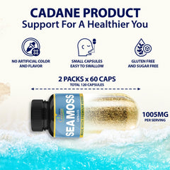 Organic Cadane capsule close-up showing vegetarian cap and smooth finish