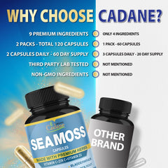 Organic Cadane in a lifestyle breakfast setting suggesting easy daily use