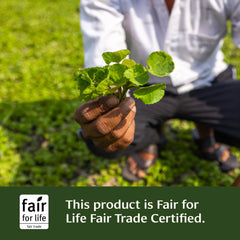 Organic certified Gotu Kola herb detail