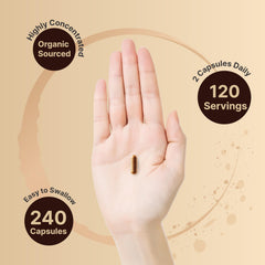 Organic cinnamon bark extract capsules by NatureBell