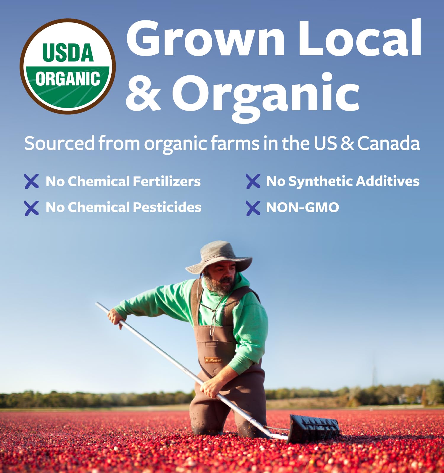 Organic cranberry supplement for women and men